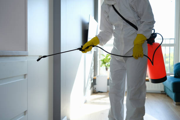 Best Mold Removal Company Near Me  in University Of Lifornia Santa Barbara, CA
